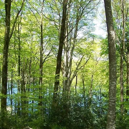 펜션 Les De La Planette - 7 Saint-Amans-Valtoret